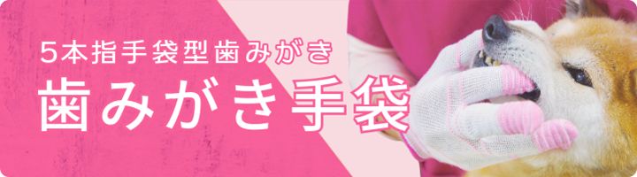 ５本指手袋型歯磨き手袋